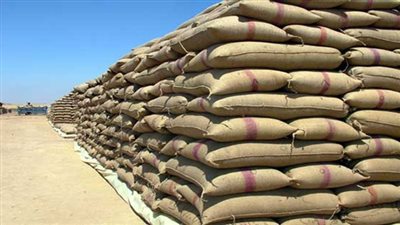 زراعة الدقهلية.. نستهدف ٢٣٠ الف طن قمح خلال الموسم الحالي 