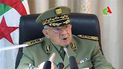 الجيش الجزائري: إجراء الانتخابات يساعد في تجنب الفراغ الدستوري