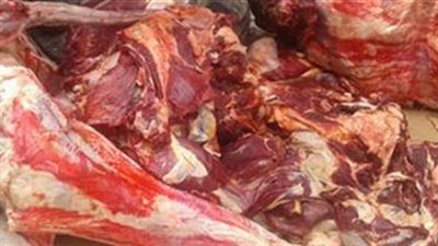 الزراعة: ضبط أكثر من5 طن لحوم ودواجن واسماك غير صالحة للاستهلاك الأدمي في 20 محافظة خلال أسبوع