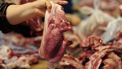 حملات مكثفة بالاسواق وضبط لحوم غير صالحة للاستهلاك الآدمي بالدقهلية 