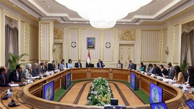 الحكومة توافق على قانون جهاز حماية وتنمية البحيرات والثروة السمكية