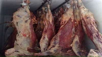 ضبط 430 كجم لحوم غير صالحة للاستهلاك الادمى بمدينة البلينا