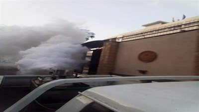 بالصور.. حملات مكثفة لمقاومة الناموس والحشرات الطائرة بالمنصورة 