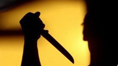 انهى شقيقين حياة والدهم بالدقهلية