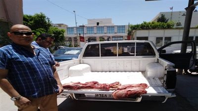 تموين الفيوم ضبط لحوم غير صالحة ومذبوحة خارج المجزر 