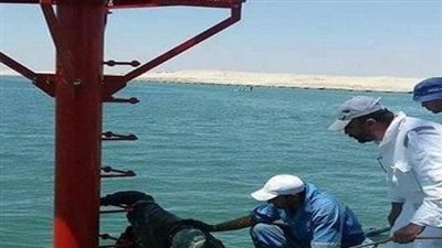 السياحة: صيانة وإحلال 70 شمندورة بجنوب سيناء