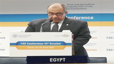 وزير الزراعة: العالم يوجه تحديات كثيرة في مجالات الزراعة والرى 