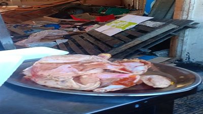 الصحة: إعدام 4 أطنان أغذية متنوعة فاسدة بعدد من المنشآت الغذائية بالساحل الشمالى