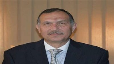 نائب رئيس حزب 