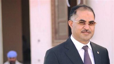 وكيل البرلمان: ٣٠ يونيو حافظت على مصر ومنعت سيناريو دول الجوار