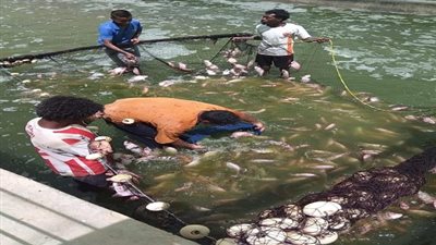 إنتاج سمكى وفير لتجمع وادى حوضين بالشلاتين