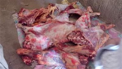 ضبط نصف طن لحوم غير صالحة للاستخدام الآدمي بقنا