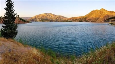 ماذا حدث؟.. عندما تجد مفاجأة وسط مصيبة