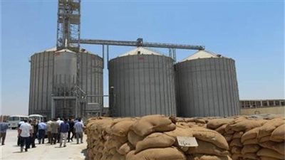 حقيقة خلط أطنان من القمح بالتراب داخل الشون والصوامع