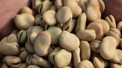 التموين تطرح ٦ آلاف طن فول.. وتطالب بصرف نصف كيلو على بطاقة الدعم