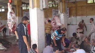 فتح  جميع المجازر مجانا لذبح أضاحي العيد بالدقهليه
