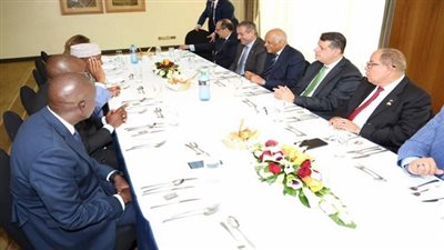 تفاصيل لقاء عبدالعال وزعيم الأغلبية بالبرلمان الكيني