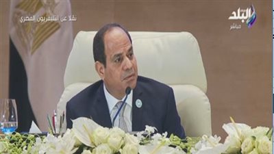 السيسي لـ المصريين: بكرة تشوفوا دولة جديدة في مصر.. فيديو