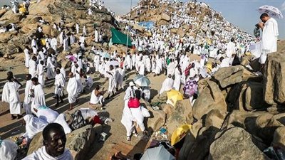 التضامن: استمرار توافد الحجيج على الأراضي المقدسة واستعدادات مكثفة لخدمة ضيوف الرحمن 