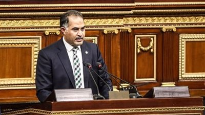 وكيل النواب: هناك إرادة حقيقية من الشعب والدولة لاقتلاع جذور الإرهاب