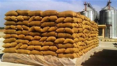 غدا.. صرف الأقماح المخصصة للمطاحن لإنتاج الخبز خلال إجازة العيد