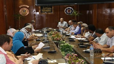 تطبيق التحول الرقمي للخدمات الحكومية بمحافظة السويس