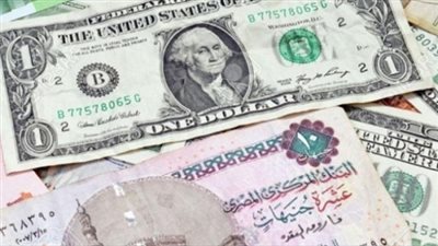 سعر الدولار يرتفع أمام الجنيه المصري خلال تعاملات اليوم
