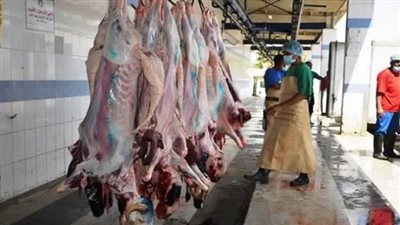 الزراعة: ذبح 11 ألف أضحية مجانا في المجازر العمومية خلال عيد الأضحى