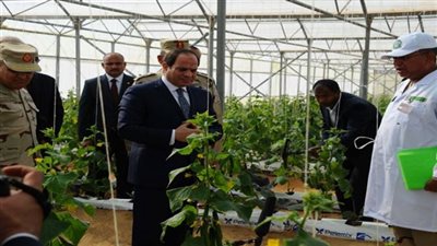 الرئيس عبد الفتاح السيسي يفتتح أكبر المشاريع القومية فى مجال الزراعات المحمية  