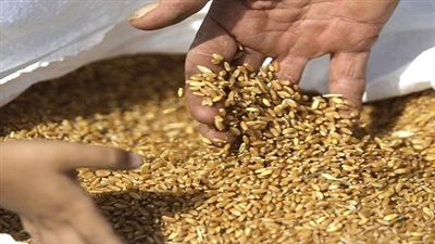 ماذا قال وزير التموين بعد انفجار روسيا بشأن صادرات القمح؟ 