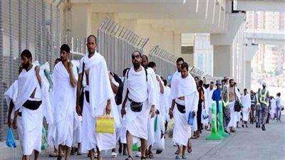 سياحة البرلمان: لم نرصد مشكلات تتعلق بأداء مصر للطيران في خدمة الحجاج