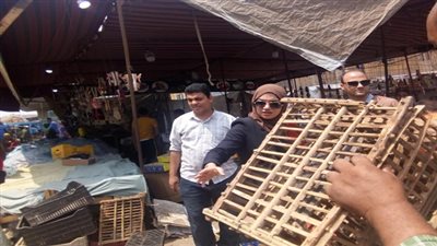 نائب محافظ القليوبية تقود حمله مكبرة لإزالة الإشغالات بمدينه بنها