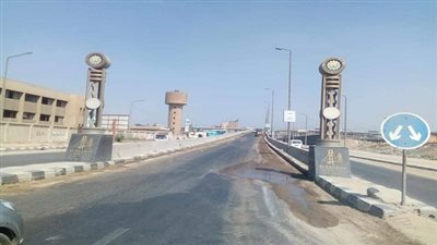 بالصور.. حملات مكثفة لرفع مستوى النظافة وازالة القمامة وكفاءة الإنارة بالطرق والشوارع بالدقهلية 