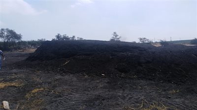 حملة تفتيش على مكامير الفحم ببرقاش.. وقرار بإزالة 15 مكمورة تقليدية