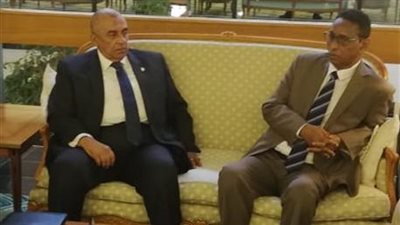 وزير الزراعة يبحث التعاون مع السعودية والصومال