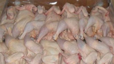 مصادرة 4،5 أطنان دواجن فاسدة داخل مصنع بمدينة نصر