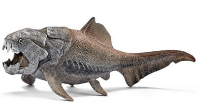 شاهد.. ظهور وحش سمكى منذ 382 مليون سنة