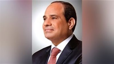 السيسي يتسلم رسالة من رئيس جيبوتي لزيادة التعاون المشترك