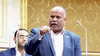 برلماني يطالب بتعديل أحكام قانون الصيد لتنمية الثروة السمكية