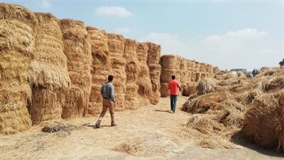 البيئة تضبط 603 منشأة مخالفة للحدود المسموح بها في قانون البيئة