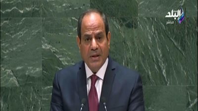 السيسي: الحل السياسي في سوريا ضرورة ملحة لا تحتمل التأخير.. فيديو