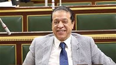 برلمانى: كلمة السيسي في الأمم المتحدة عكست اهتمام الدولة المصرية بصالح إقليميا العربي والأفريقي