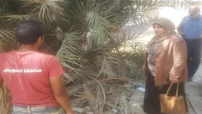 حملة لتطهير مدارس السويس من الحشائش والزواحف الضارة