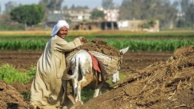 مشروع قانون لإسقاط فوائد القروض عن المزارعين المتعثرين