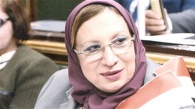 برلمانية بفتح تحقيق عاجل مع طاقم طائرة 