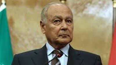 أبو الغيط: تركيا سهلت مرور عناصر إرهابية للأراضي السورية 