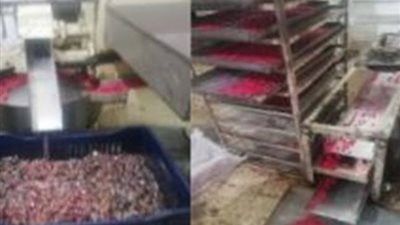 التحقيق مع صاحب مصنع عثر بداخله على 7 أطنان حلوى فاسدة