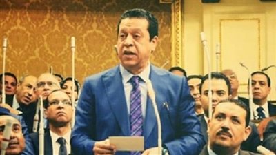 برلمانى: نبيلة مكرم وزير للمصريين فى الداخل والخارج