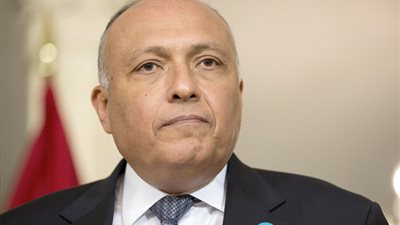 وزير الخارجية يبحث مع نظيره الأمريكي هاتفيا التطورات في سوريا