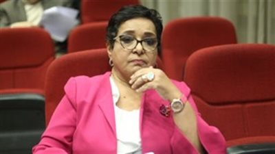 برلمانية: زيارة مكرم للنوبة تفكير خارج الصندوق ولم شمل المصريين فى الداخل والخارج